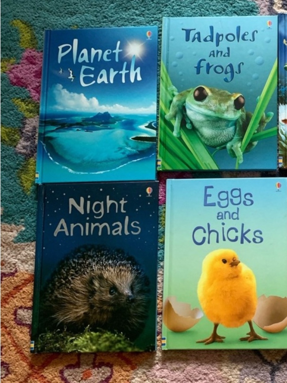 Children's Nature hardcover Book Set night animals under the sea tadpole frogs